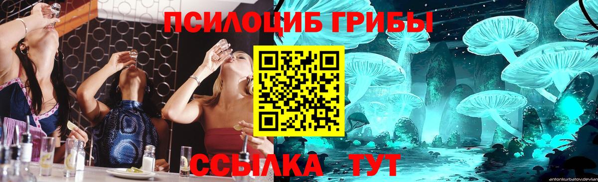 Галлюциногенные грибы мицелий Свободный